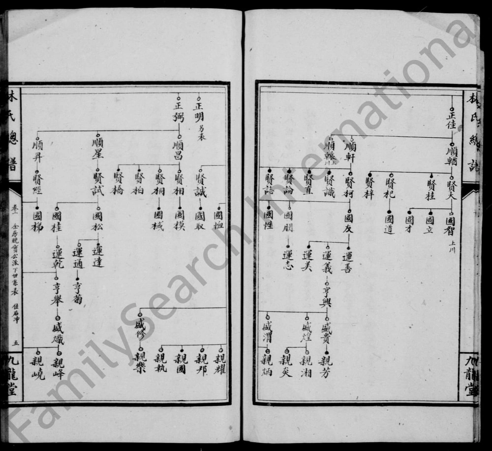 图片[7]-湖南武冈林氏总谱（九龙堂）电子版PDF下载-中华家谱网