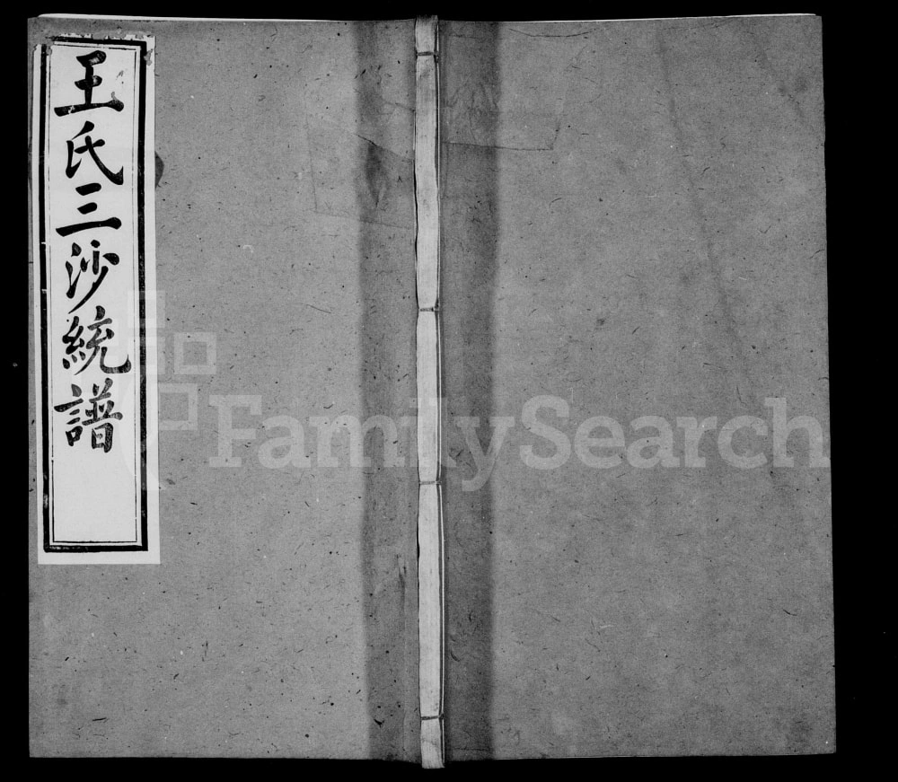 图片[1]-江苏省王氏三沙统谱（三槐堂）电子版PDF下载-中华家谱网