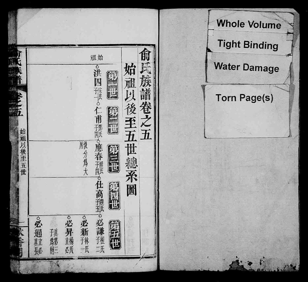 图片[6]-湖北麻城俞氏续修族谱（秋香阁）电子版PDF下载-中华家谱网