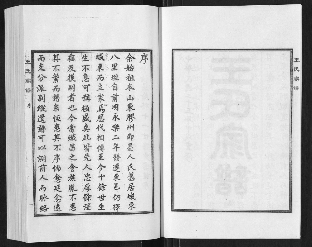 图片[3]-河北沧州东光县王氏家谱电子版PDF下载-中华家谱网