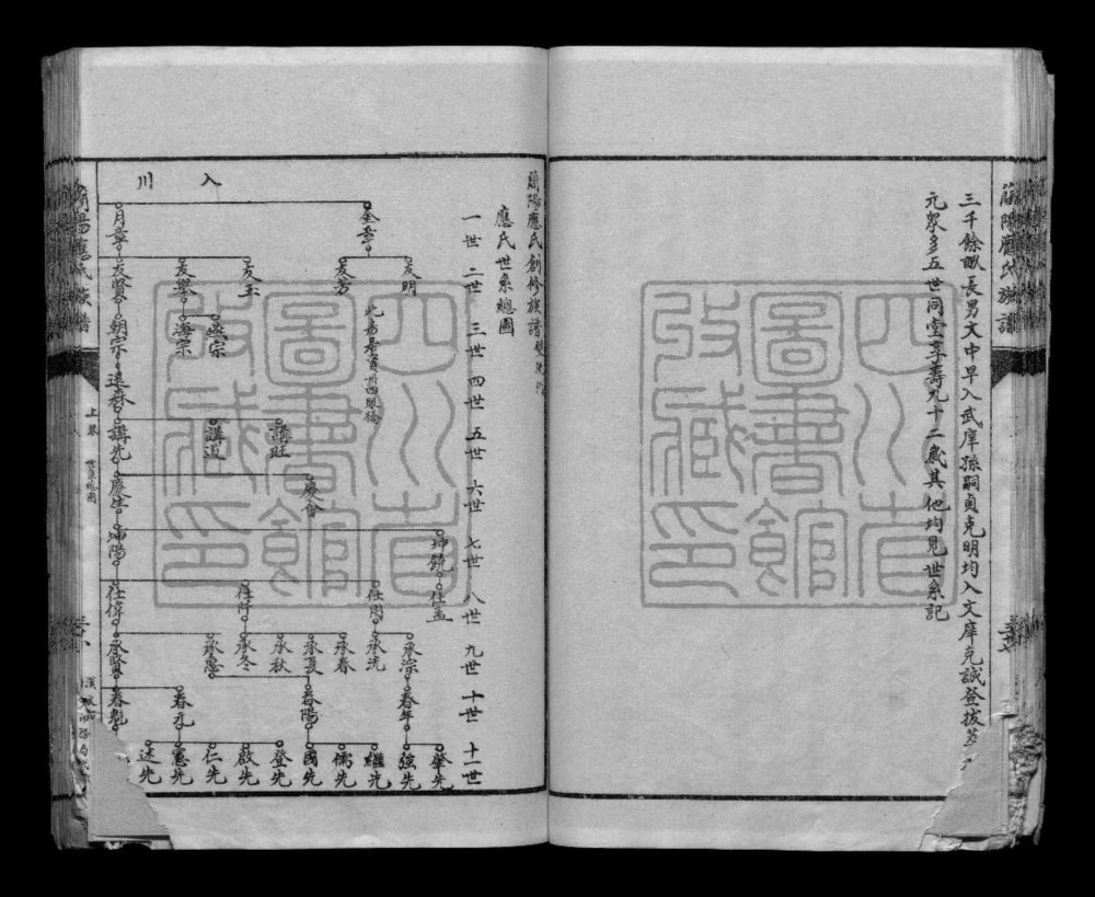 图片[5]-四川简阳应氏族谱电子版PDF下载-中华家谱网