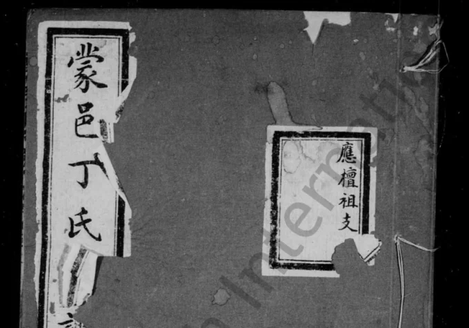 安徽亳州蒙城县蒙邑丁氏家谱（民国9年本）电子版PDF下载-中华家谱网