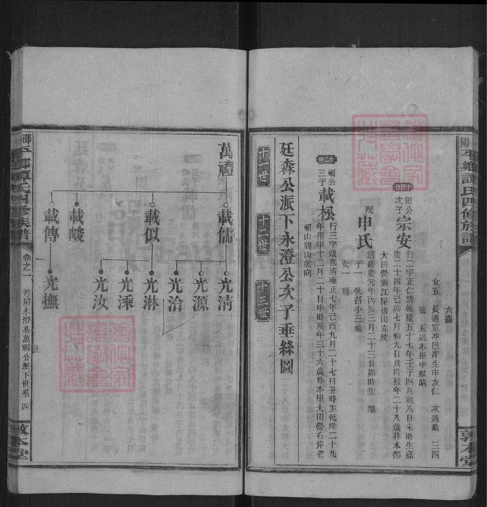 图片[8]-湖南邵阳平乡谭氏四修族谱（敦本堂）电子版PDF下载-中华家谱网