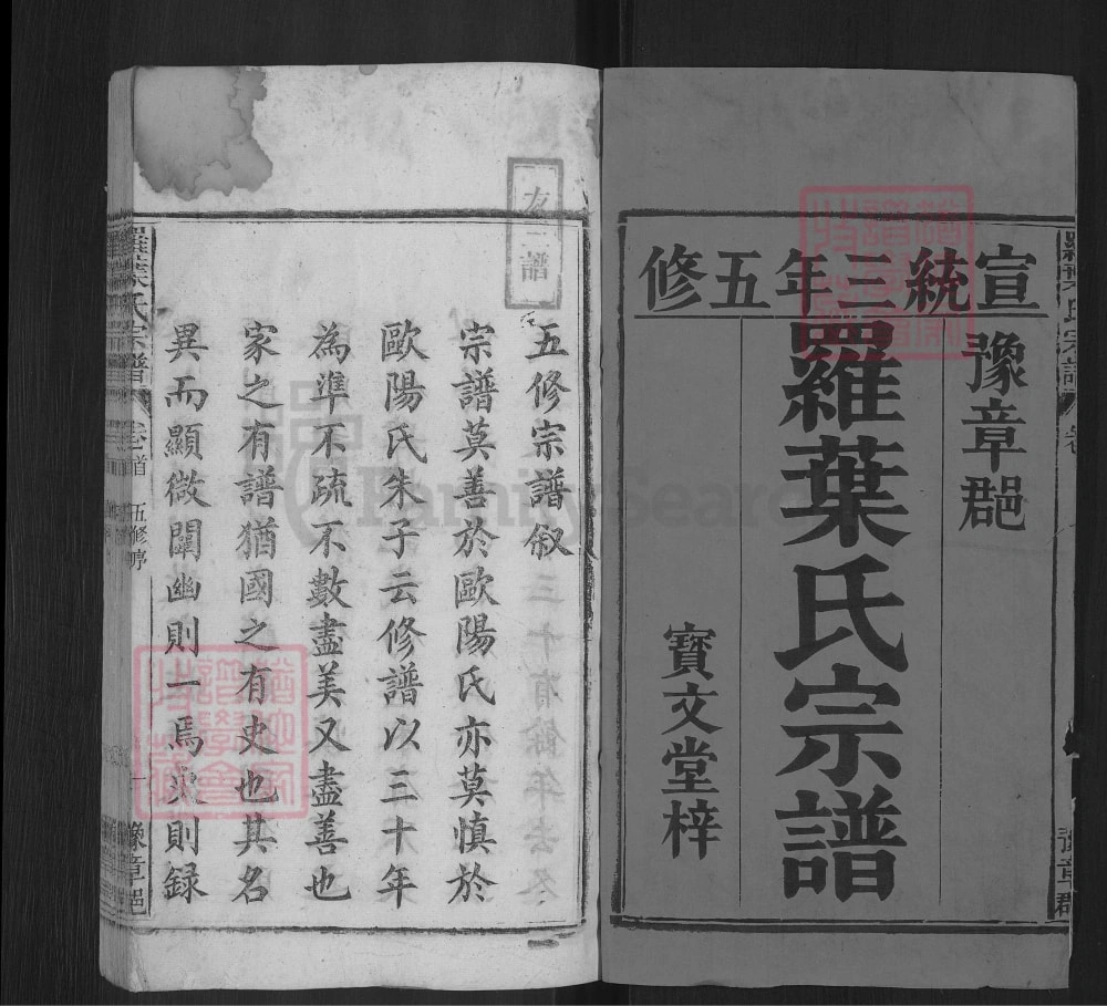 图片[2]-安徽安庆宿松罗叶氏宗谱电子版PDF下载-中华家谱网