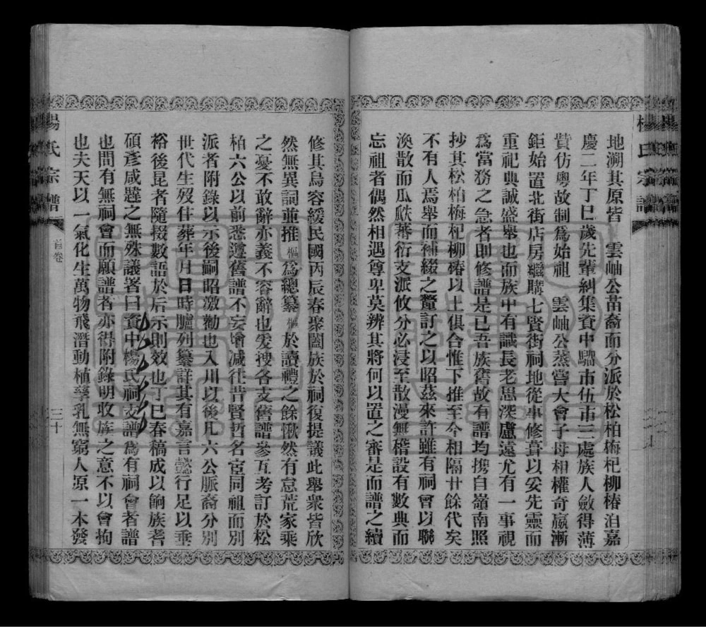 图片[2]-四川资阳资中杨氏祠支谱电子版PDF下载-中华家谱网