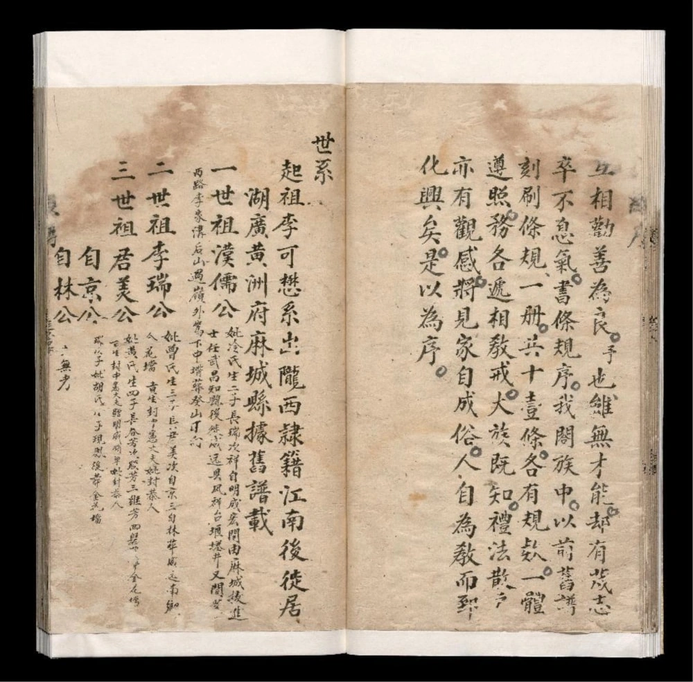 图片[5]-四川眉山仁寿县李氏谱簿电子版PDF下载-中华家谱网