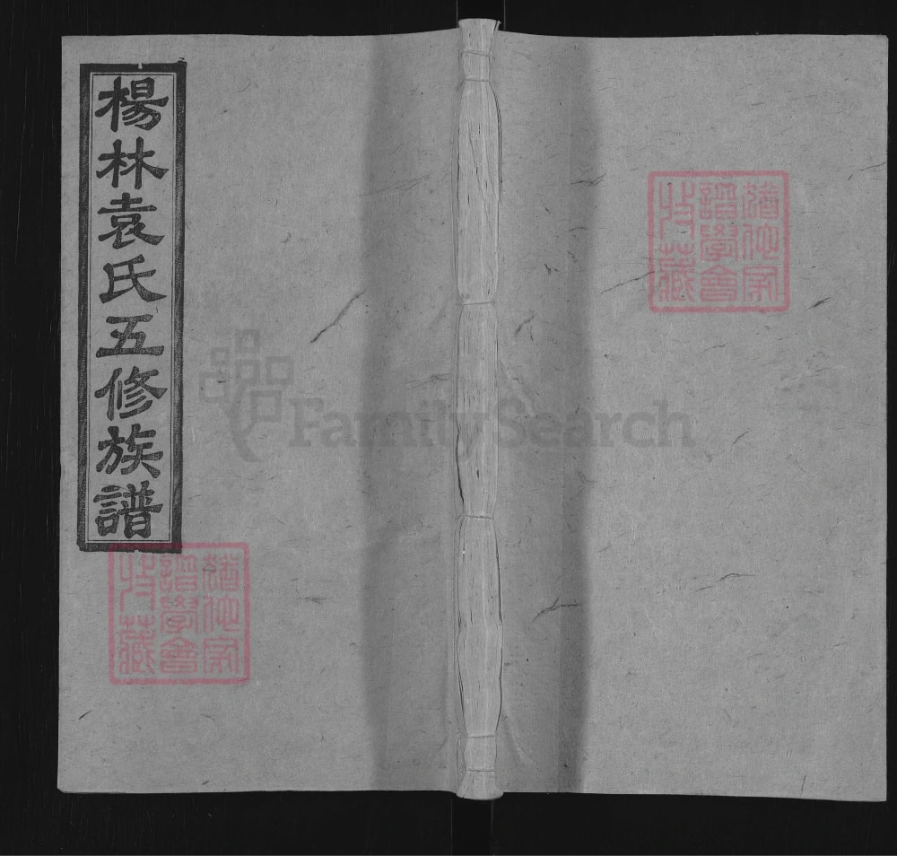 图片[1]-湖南邵阳杨林袁氏五修族谱（敦睦堂）电子版PDF下载-中华家谱网