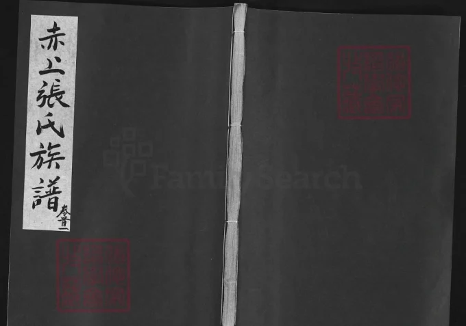 福建建宁县赤上张氏族谱电子版PDF下载-中华家谱网