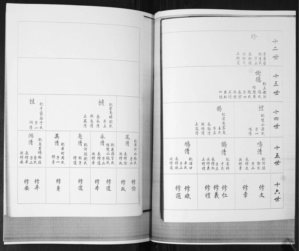 图片[8]-山东青岛即墨孙辛庄孙氏族谱电子版PDF下载-中华家谱网