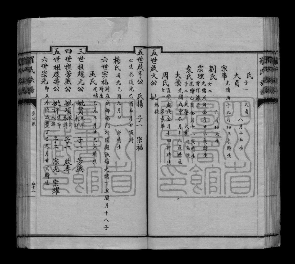 图片[8]-四川彭州罗氏支谱电子版PDF下载-中华家谱网