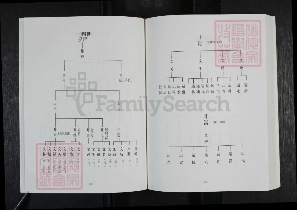 图片[7]-广东广州从化区叶氏源流录天祐祖世系族谱电子版PDF下载-中华家谱网
