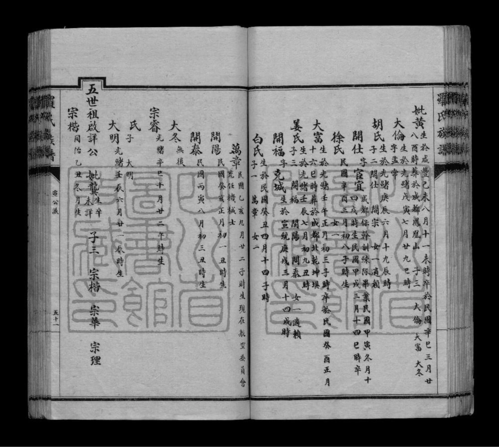 图片[7]-四川彭州罗氏支谱电子版PDF下载-中华家谱网