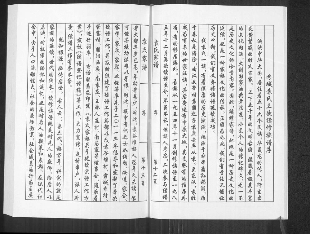 图片[2]-河南开封兰考袁氏族谱电子版PDF下载-中华家谱网