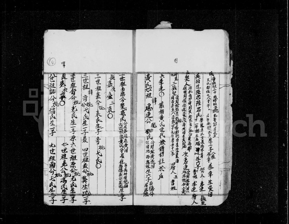 图片[5]-香港新界沙头角锁罗盆村黄姓族谱电子版PDF下载-中华家谱网