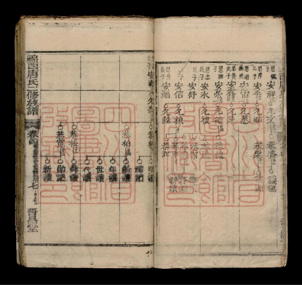 图片[8]-四川绵阳绵西永兴场晋昌祠唐氏族谱（晋昌堂）电子版PDF下载-中华家谱网