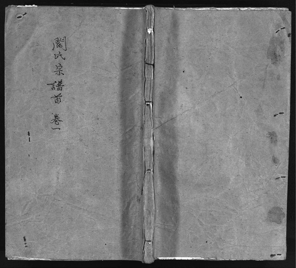 图片[1]-湖北浠水阎氏十一修宗谱（孝友堂）电子版PDF下载-中华家谱网