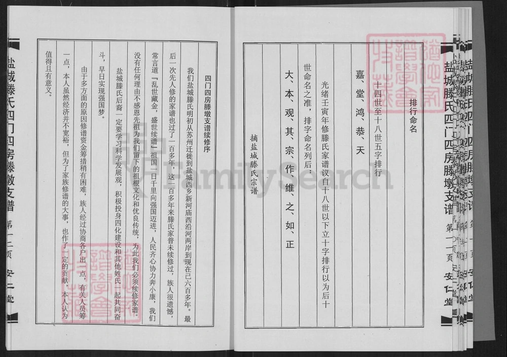 图片[3]-江苏盐城腾氏四门四房腾墩支谱（安仁堂）电子版PDF下载-中华家谱网