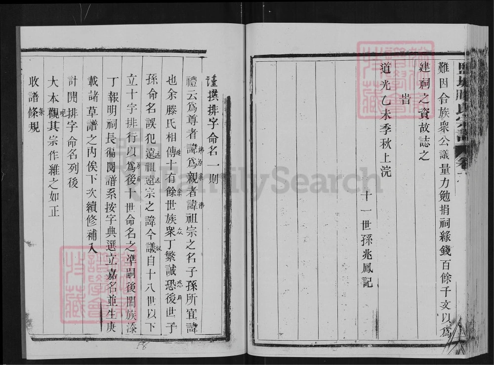 图片[4]-江苏盐城腾氏宗谱（安仁堂）电子版PDF下载-中华家谱网