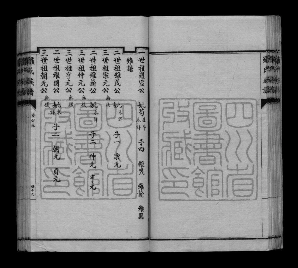 图片[5]-四川彭州罗氏支谱电子版PDF下载-中华家谱网