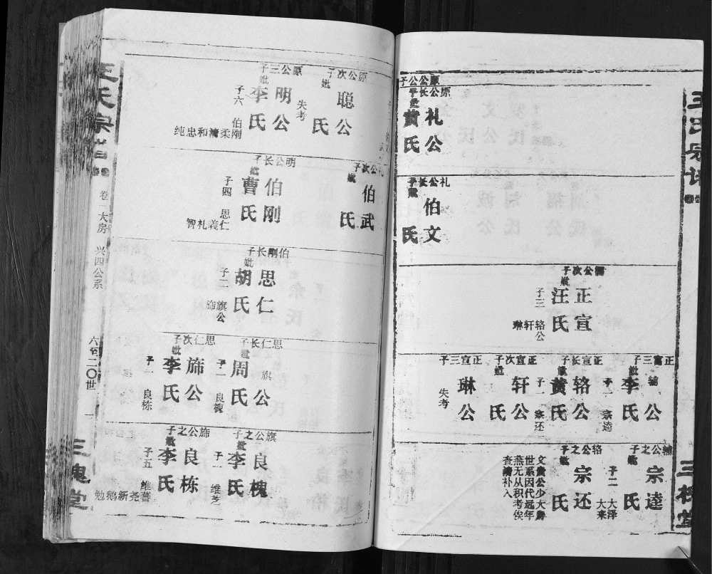 图片[6]-湖北汉川天门仙桃楚北灉江王氏宗谱（三槐堂）电子版PDF下载-中华家谱网