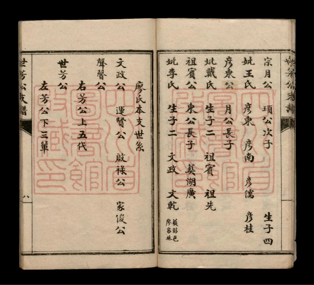 图片[6]-四川彭州廖氏世芳公支谱电子版PDF下载-中华家谱网