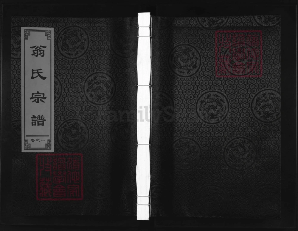 图片[1]-浙江兰溪翁氏宗谱（亦政堂）电子版PDF下载-中华家谱网