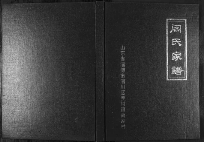 山东淄博阎氏家谱-中华家谱网