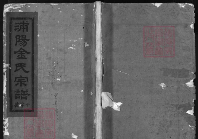 浙江兰溪浦阳金氏宗谱-中华家谱网