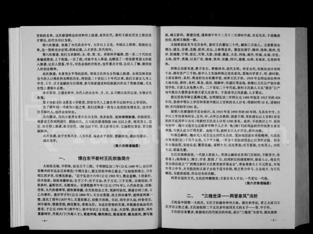 图片[3]-广西玉林博白县东平新村王氏族谱电子版PDF下载-中华家谱网