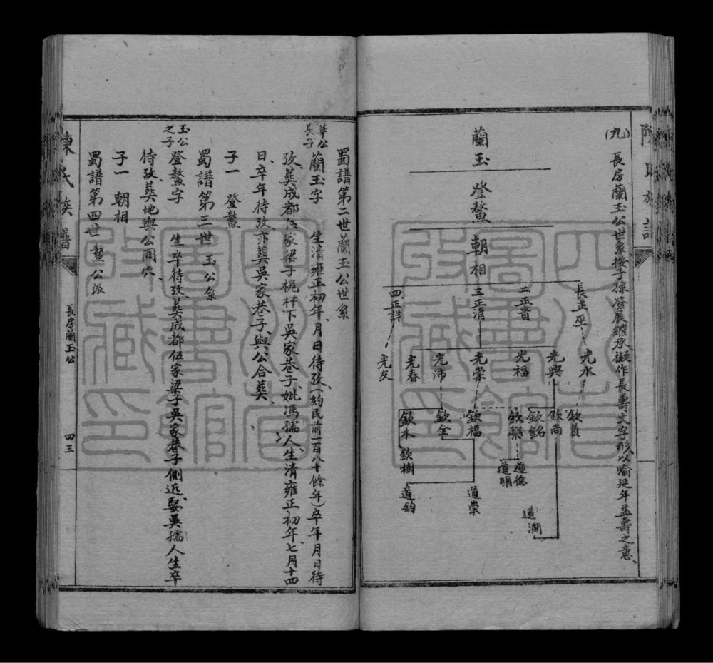 图片[7]-四川成都陈华英公族谱电子版PDF下载-中华家谱网