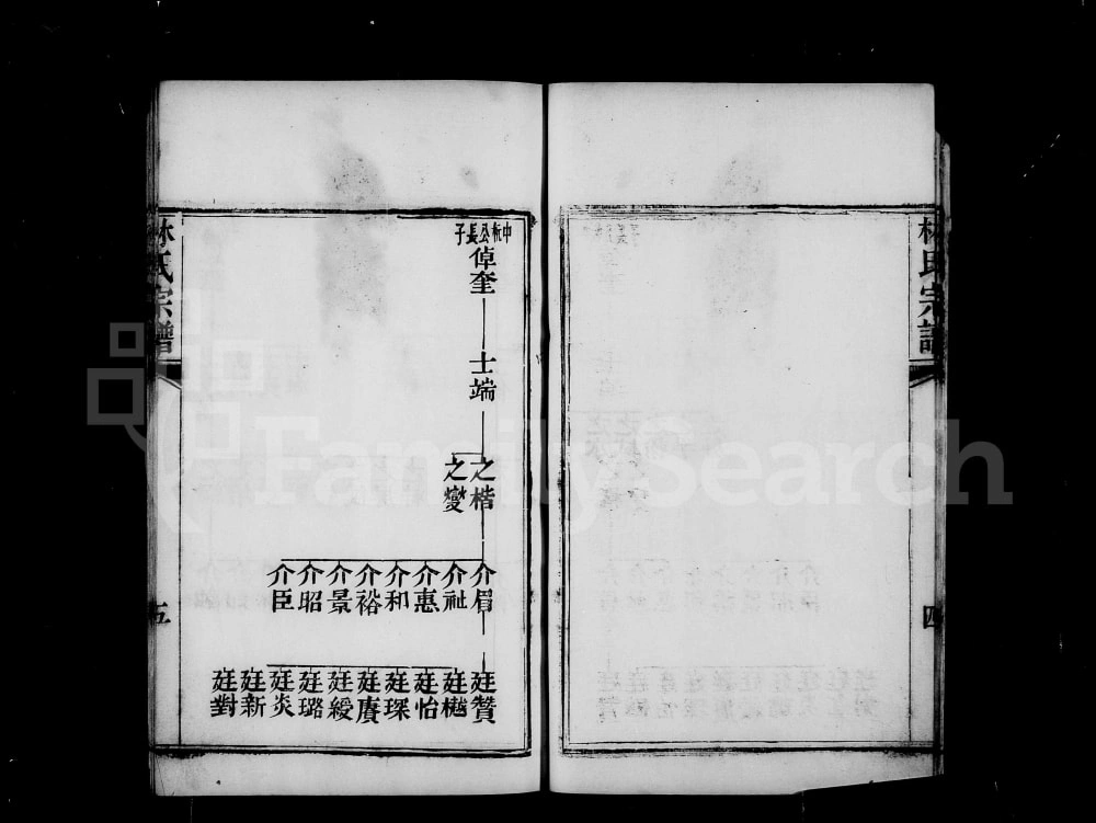 图片[7]-安徽蚌埠怀远林氏宗谱电子版PDF下载-中华家谱网