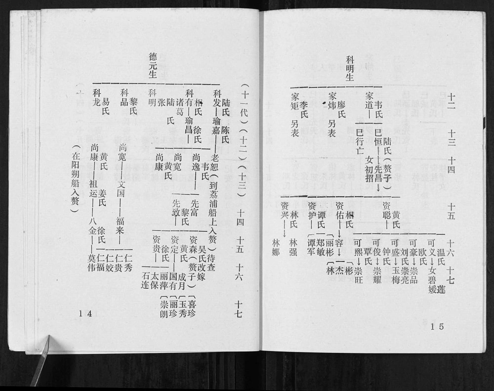 图片[8]-广西桂林阳朔莫氏至新公家谱电子版PDF下载-中华家谱网