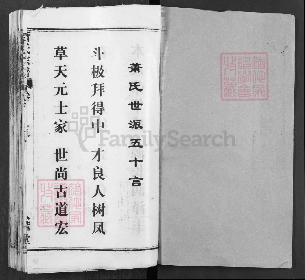 图片[2]-湖北武汉黄陂区萧(肖)氏宗谱（八叶堂）电子版PDF下载-中华家谱网