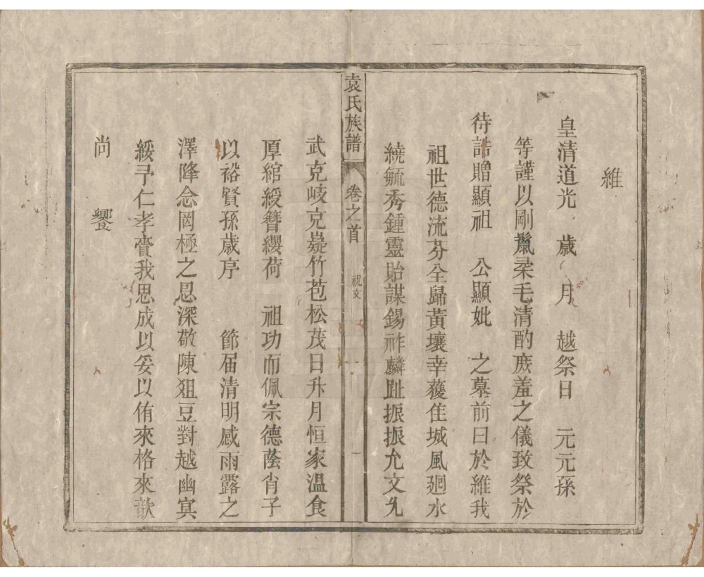 图片[4]-安徽安庆潜山县袁氏族谱（卧雪堂）电子版PDF下载-中华家谱网