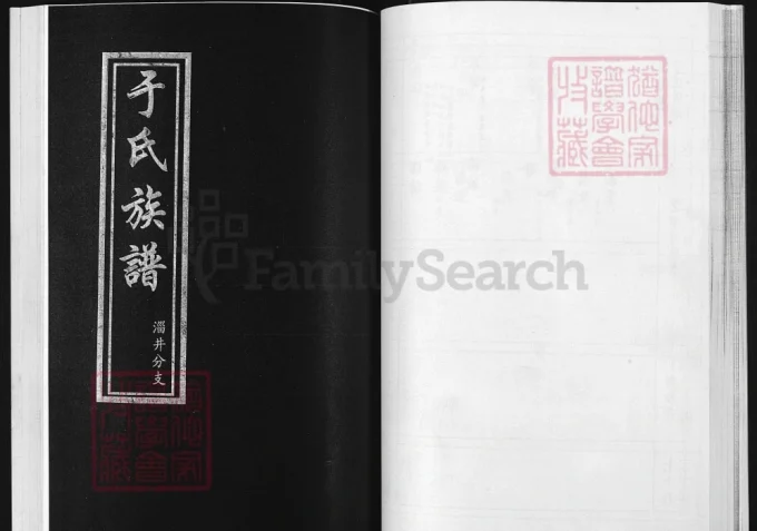 山东淄博于氏族谱淄井分支-中华家谱网