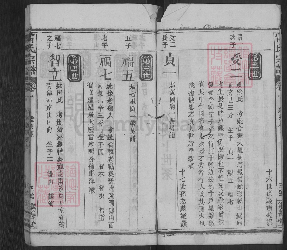 图片[8]-湖北罗田雷氏宗谱（继善堂）电子版PDF下载-中华家谱网