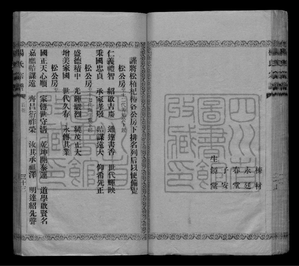 图片[4]-四川资阳资中杨氏祠支谱电子版PDF下载-中华家谱网