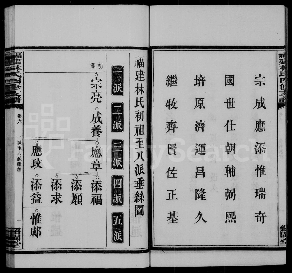 图片[5]-湖南湘乡福建林氏两湘四修支谱（绍闽堂）电子版PDF下载-中华家谱网