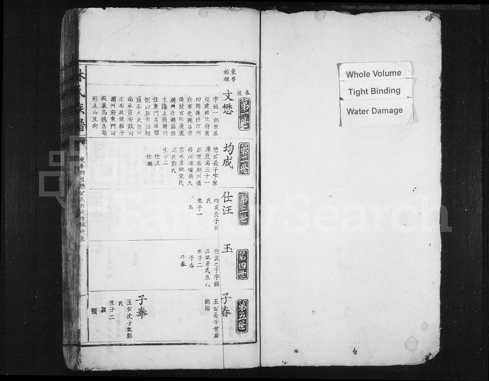 图片[4]-江西吉安遂川林氏族谱电子版PDF下载-中华家谱网