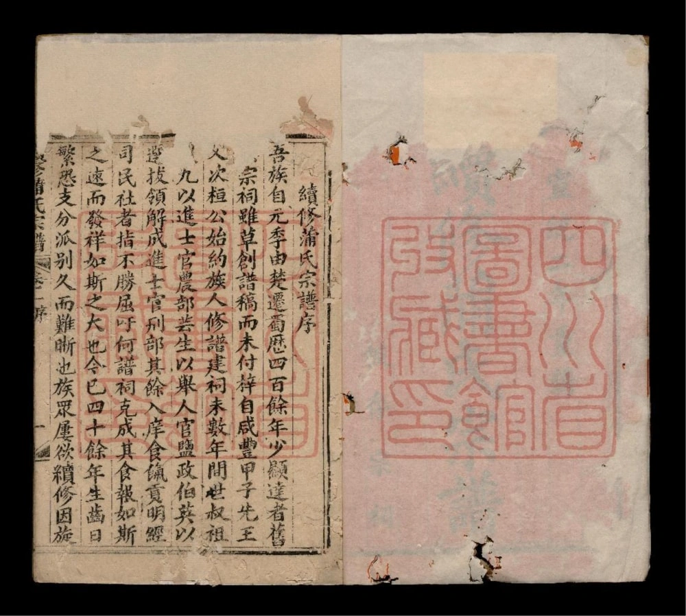 图片[2]-四川广安续修蒲氏宗谱电子版PDF下载-中华家谱网