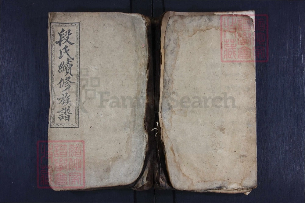 图片[1]-湖南资兴段氏族谱电子版PDF下载-中华家谱网