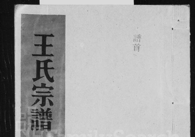 浙江温州平阳县王氏宗谱-中华家谱网