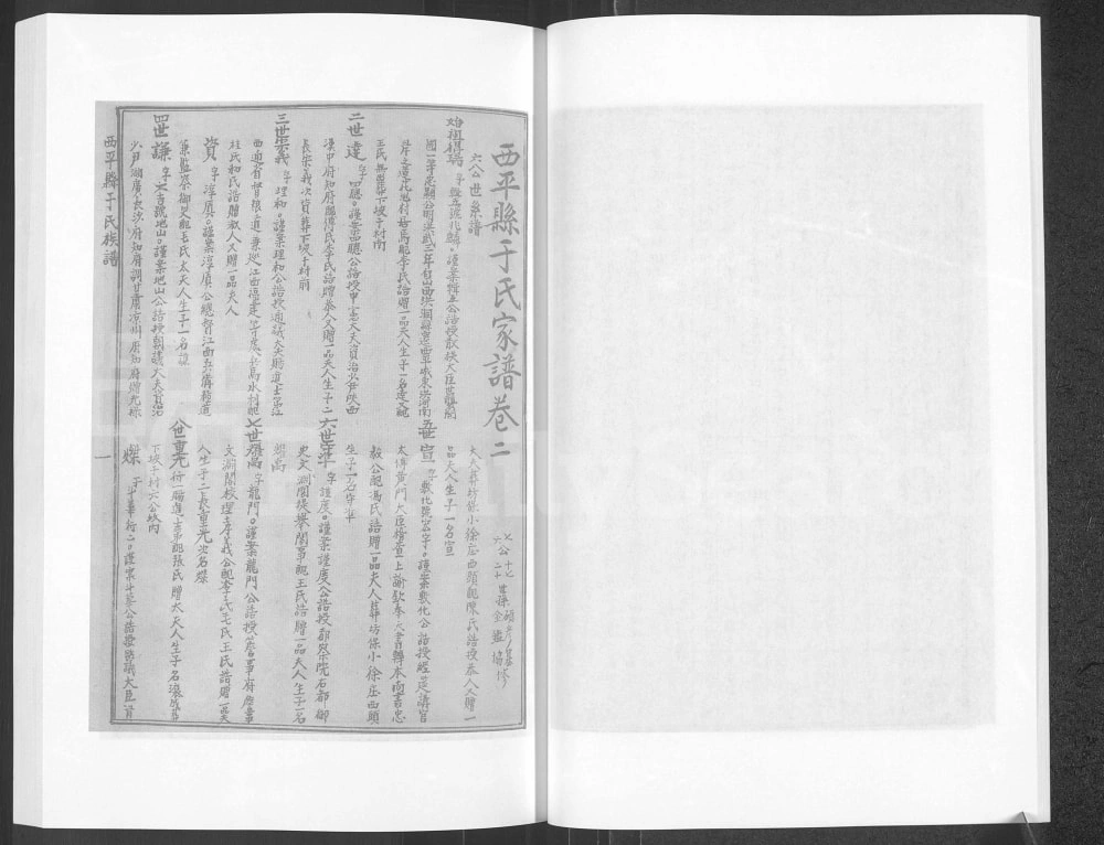 图片[5]-河南驻马店西平县于氏家谱电子版PDF下载-中华家谱网