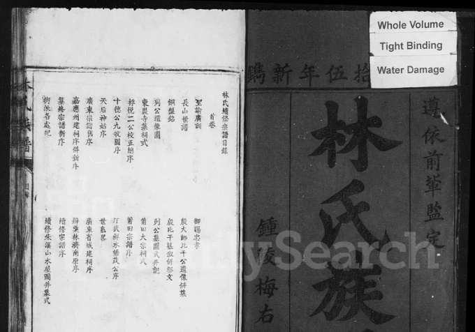 江西吉安遂川林氏族谱-中华家谱网