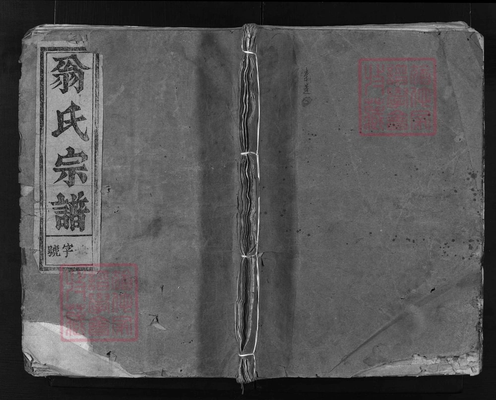 图片[1]-浙江兰溪尖山翁氏宗谱（仁善堂）电子版PDF下载-中华家谱网