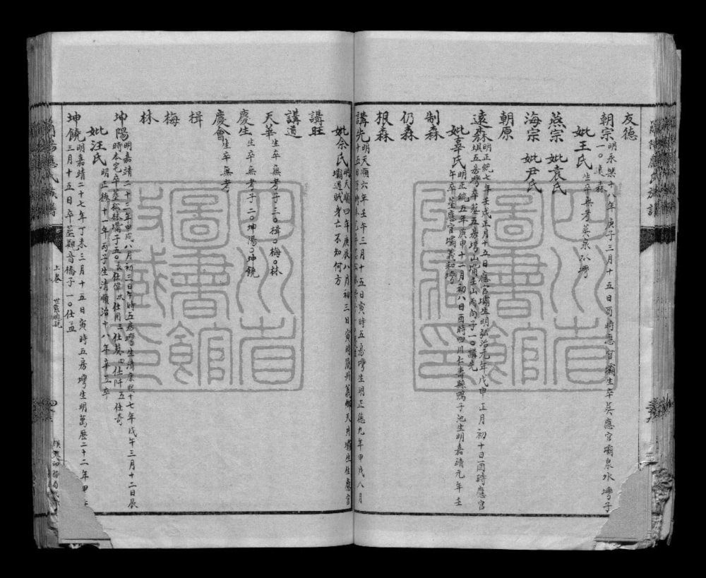 图片[7]-四川简阳应氏族谱电子版PDF下载-中华家谱网