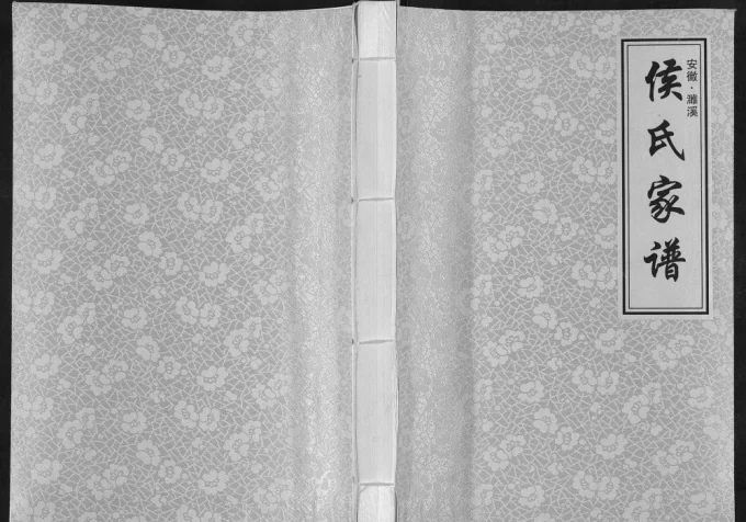 安徽濉溪侯氏家谱-中华家谱网