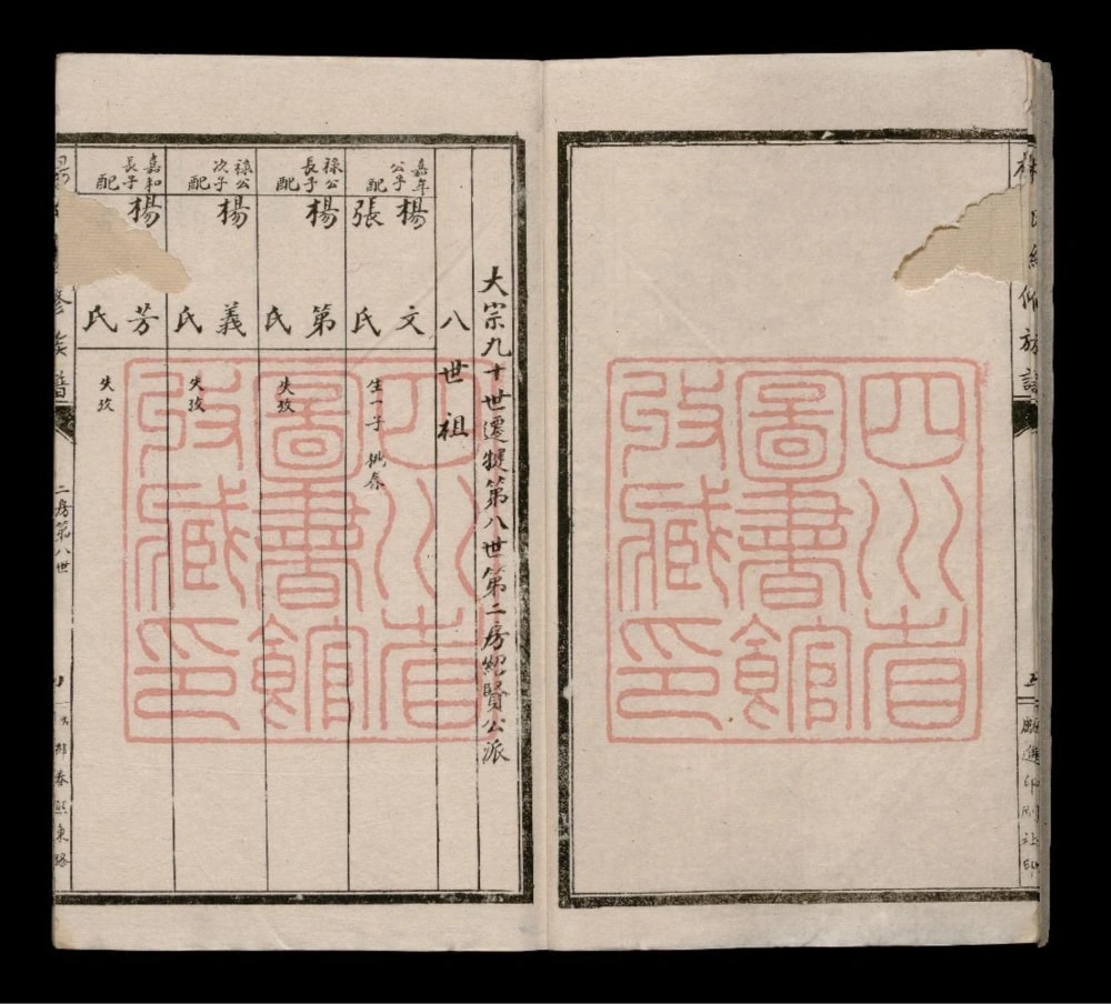 图片[8]-四川乐山犍为县杨氏续修族谱电子版PDF下载-中华家谱网