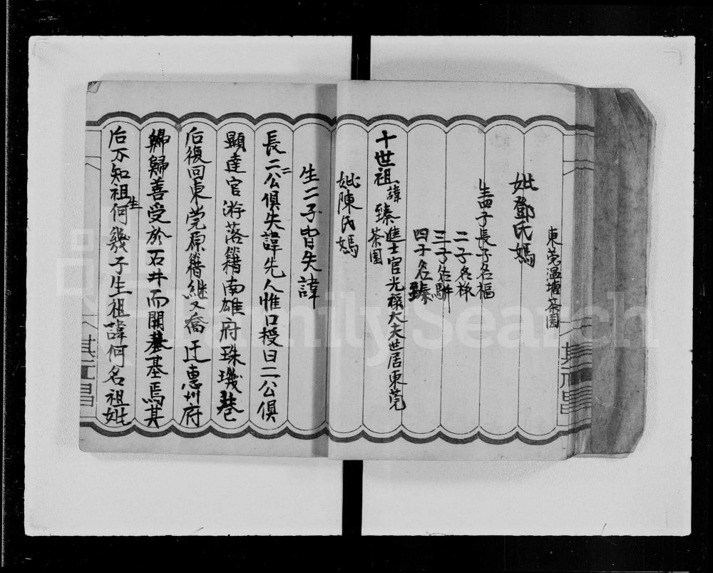 图片[8]-广东河源袁氏族谱电子版PDF下载-中华家谱网