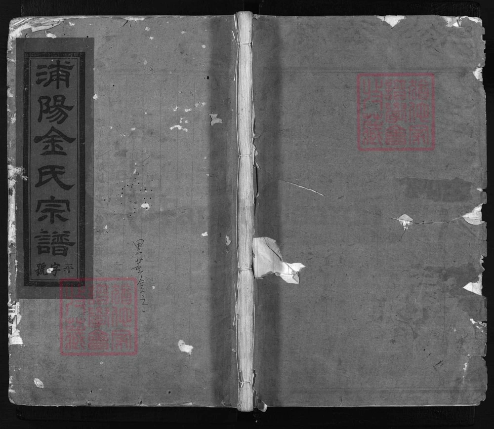 图片[1]-浙江兰溪浦阳金氏宗谱电子版PDF下载-中华家谱网